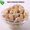 Bulk Dried Ginger Whole for Sale